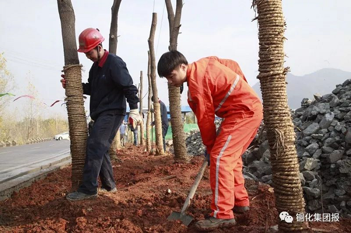 凯时尊龙人生就是博·Z6(中国)首页官网